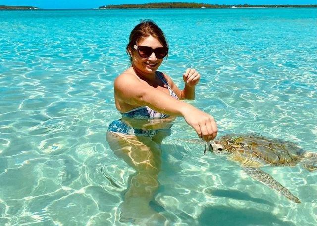 Sand Dollar At Ten Bay Beach Home Savannah Sound Bilik gambar